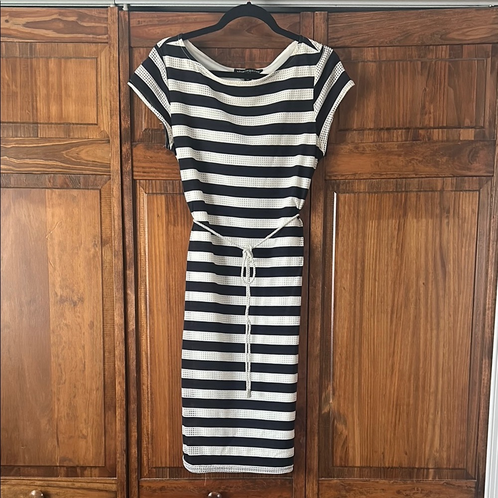 Striped Navy and White Dress